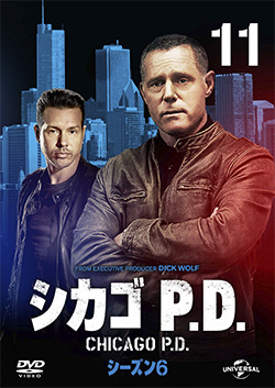 DVD 洋画 シカゴP.D.シーズン1～6（一部巻数不揃い）